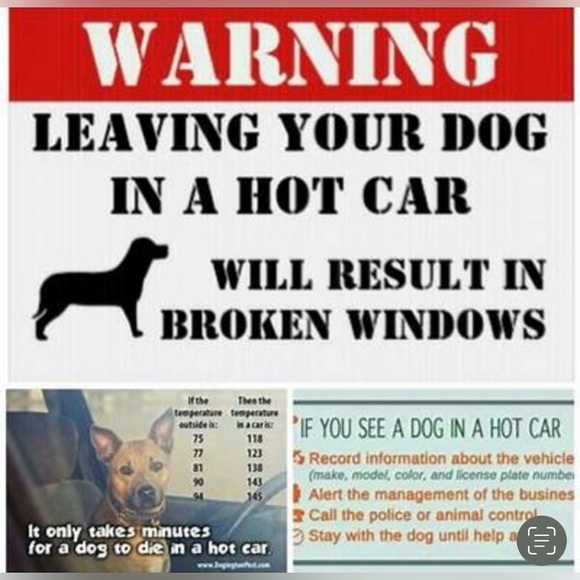 🐈‍⬛🐕 KEEP EM COOL 🐕‍🦺🐈 - Picture 3 of 5